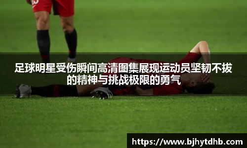 熊猫体育