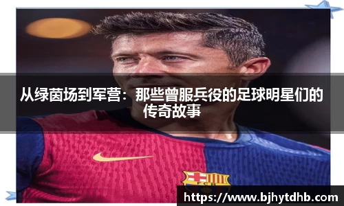 熊猫体育官网入口